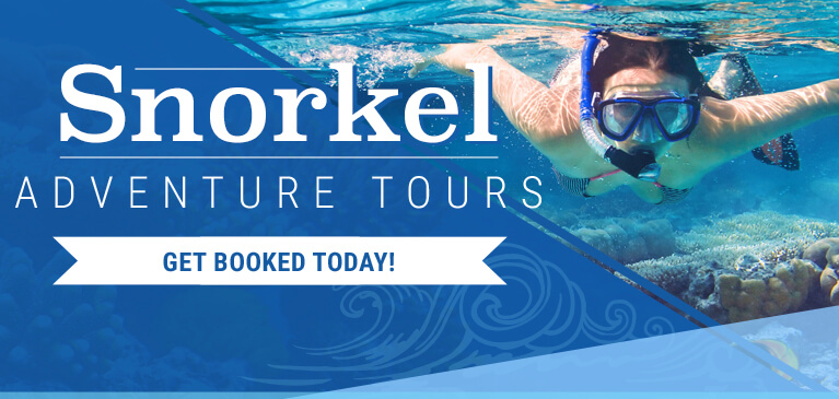 Aruba Snorkeling Tours