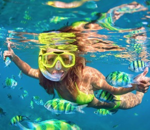 Snorkeling Tours